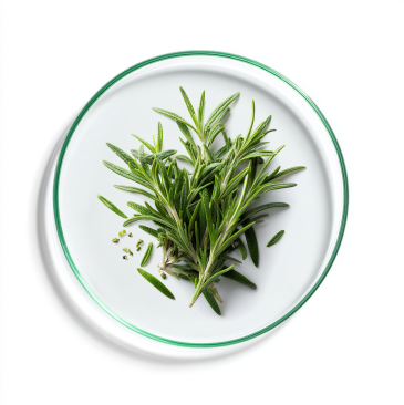 Olej rozmarynowy (Rosmarinus officinalis)